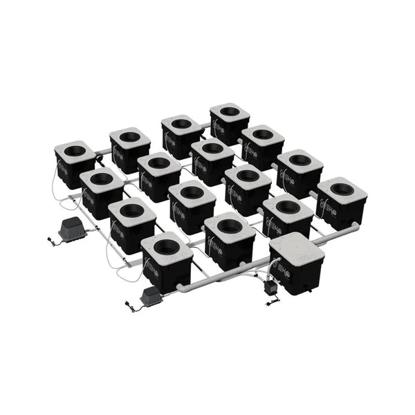 Current Culture Under Current 16 XL