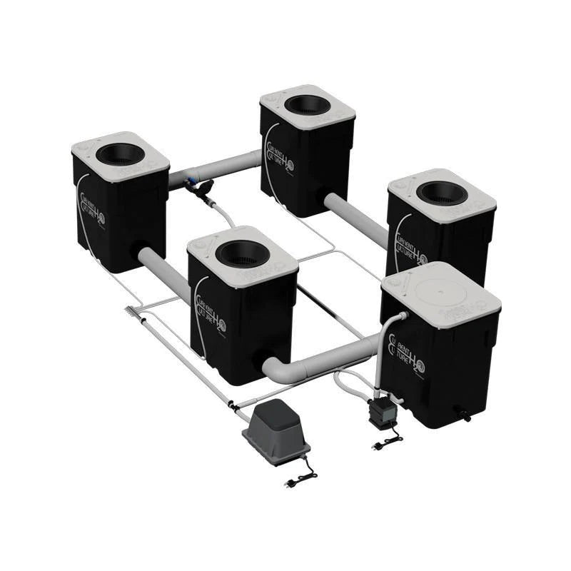 Current Culture Under Current 4 XXL 13