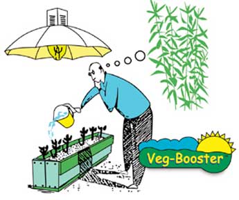 Veg-Booster 20g