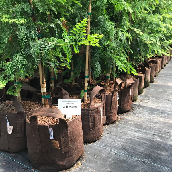 Root Pouch Brown Fabric Grow Bag with Handles - 15 Gallon