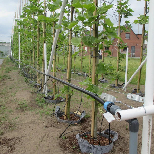 Root Pouch Grey Grow Bag - 1 Gallon