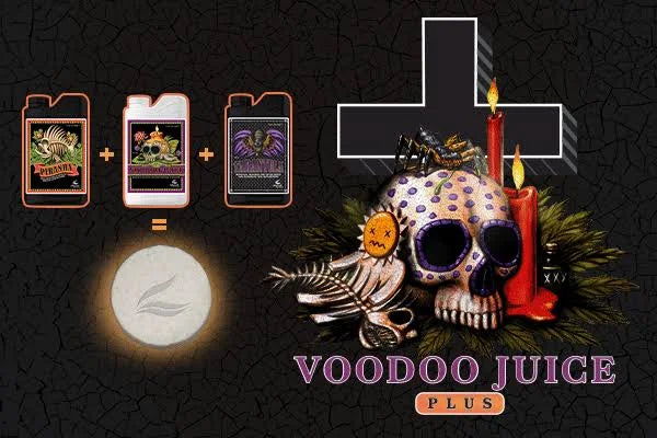 Nutriments avancés Voodoo Juice