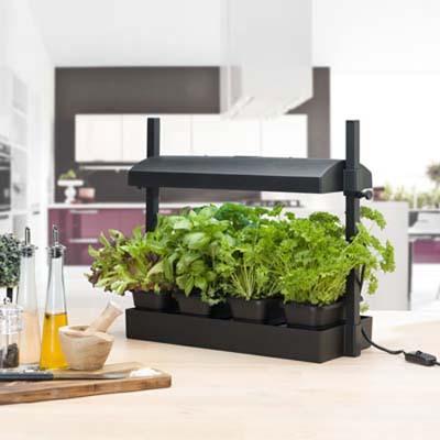Product Image:Sunblaster LED Grow Light Garden