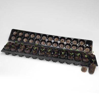 Product Image:Jiffy Strip 26 Cavities Tray (box of 1092)