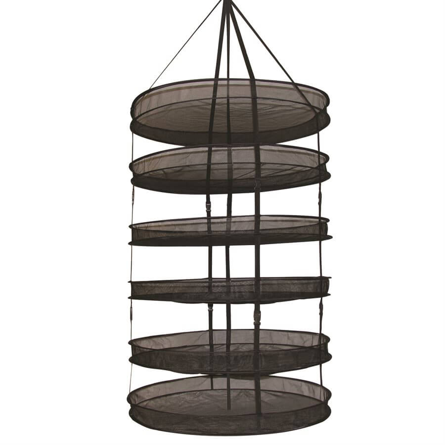 Product Image:Dry Fast Sahara Plus 6 niveaux