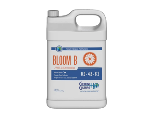 Current Culture H2O Bloom B 1 Quart