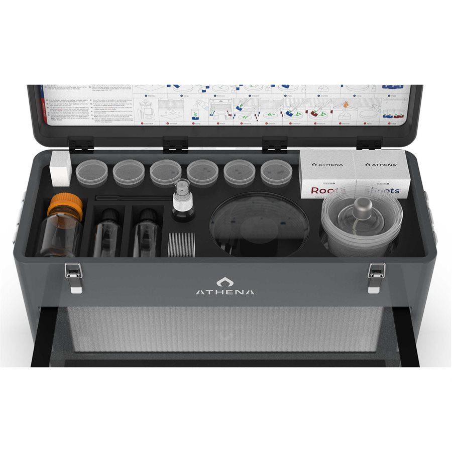 Athena Bloom A (4-0-5) 4L