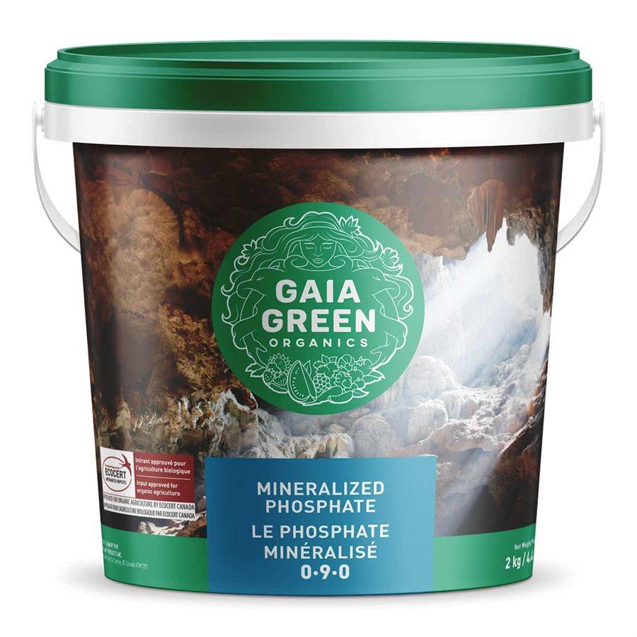 Product Image:Gaia Green Mineralized Phosphate 2 kg Pail (foss. guano)