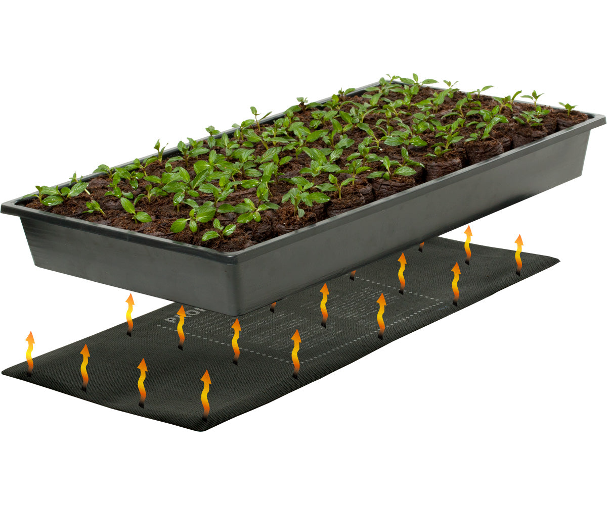 Jump Start Germination Station w Heat Mat Tray 72-Cell Pack 2 inch Dome