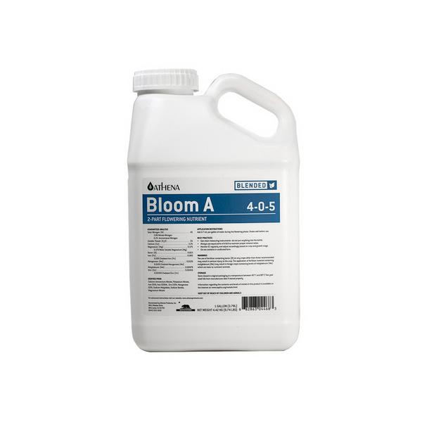 Product Image:Athena Bloom A (4-0-5)