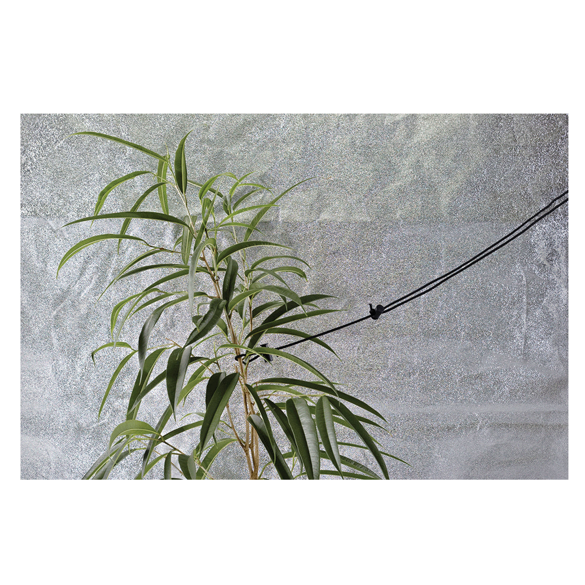 Product Secondary Image:Accrocheur Mammouth (4/Paquet) Réglable jusqu'à 5ft