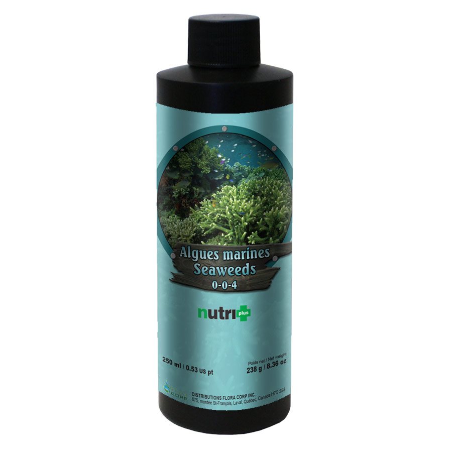 NUTRI+ SEAWEEDS 250 ML