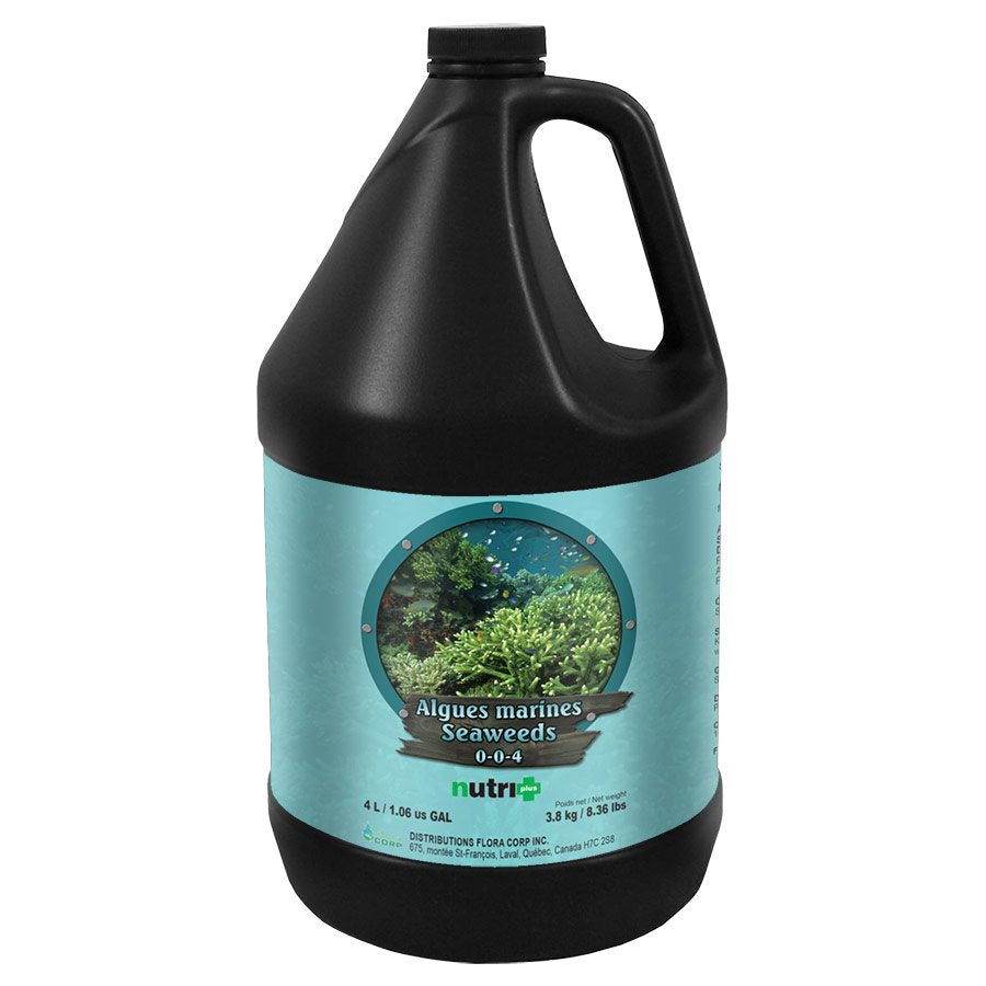 NUTRI+ SEAWEEDS 4 Liter
