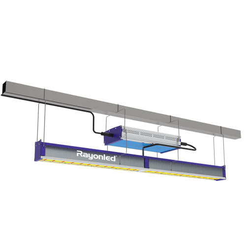 Rayonled GHB-640W LED Grow Light