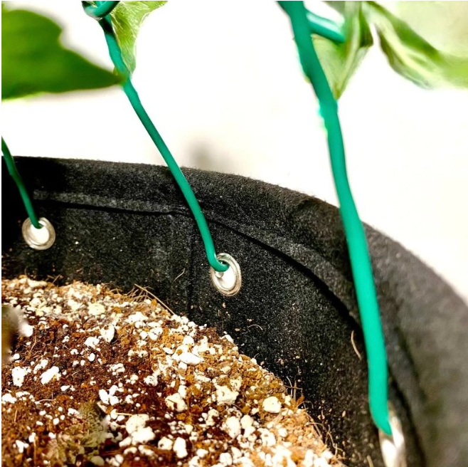 BUDTRAINER BudPots LST Grow Bags (15 Gallons)