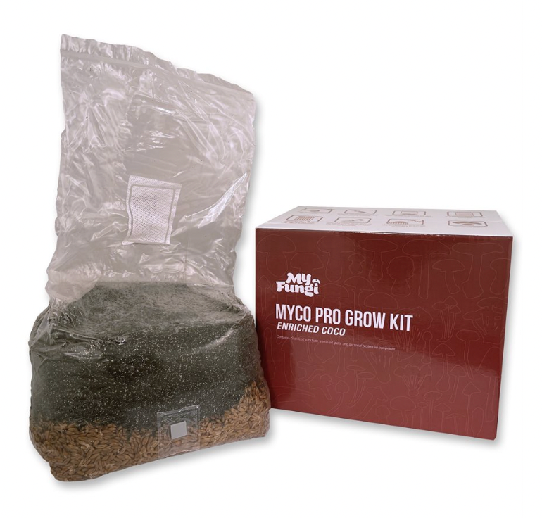 MYFUNGI ENRICHED COCO KIT