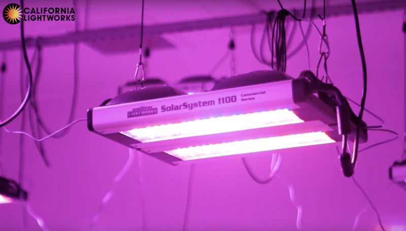 California Lightworks SolarSystem 1100 LED Grow Light