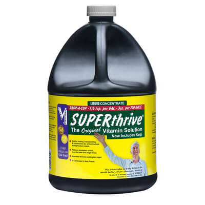 Super Thrive 1 Gallon