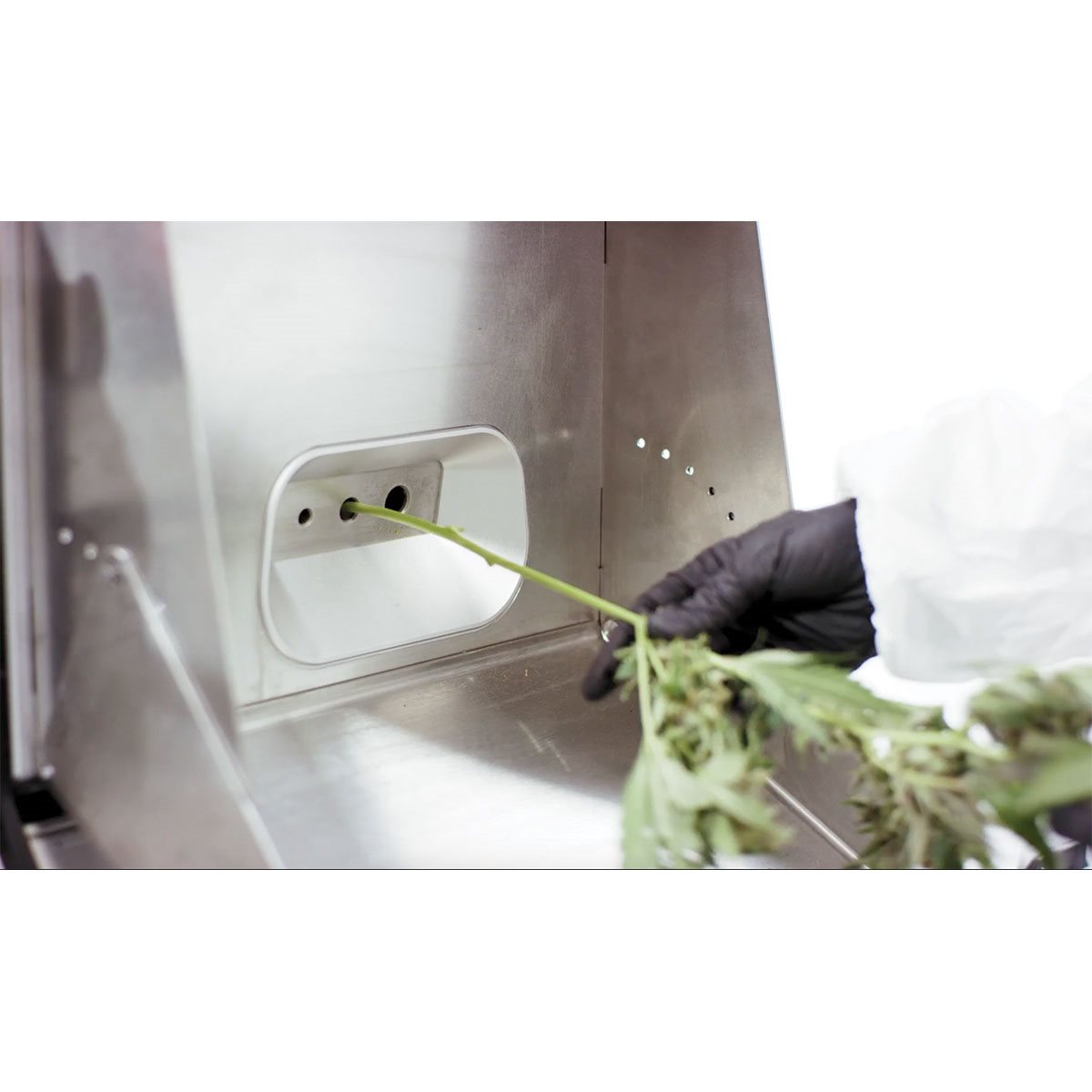 Twister B4 Bucking Machine