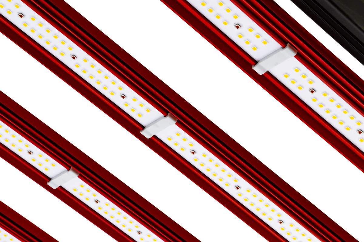 XT-1000W-CO2-LED_06-min_1200x