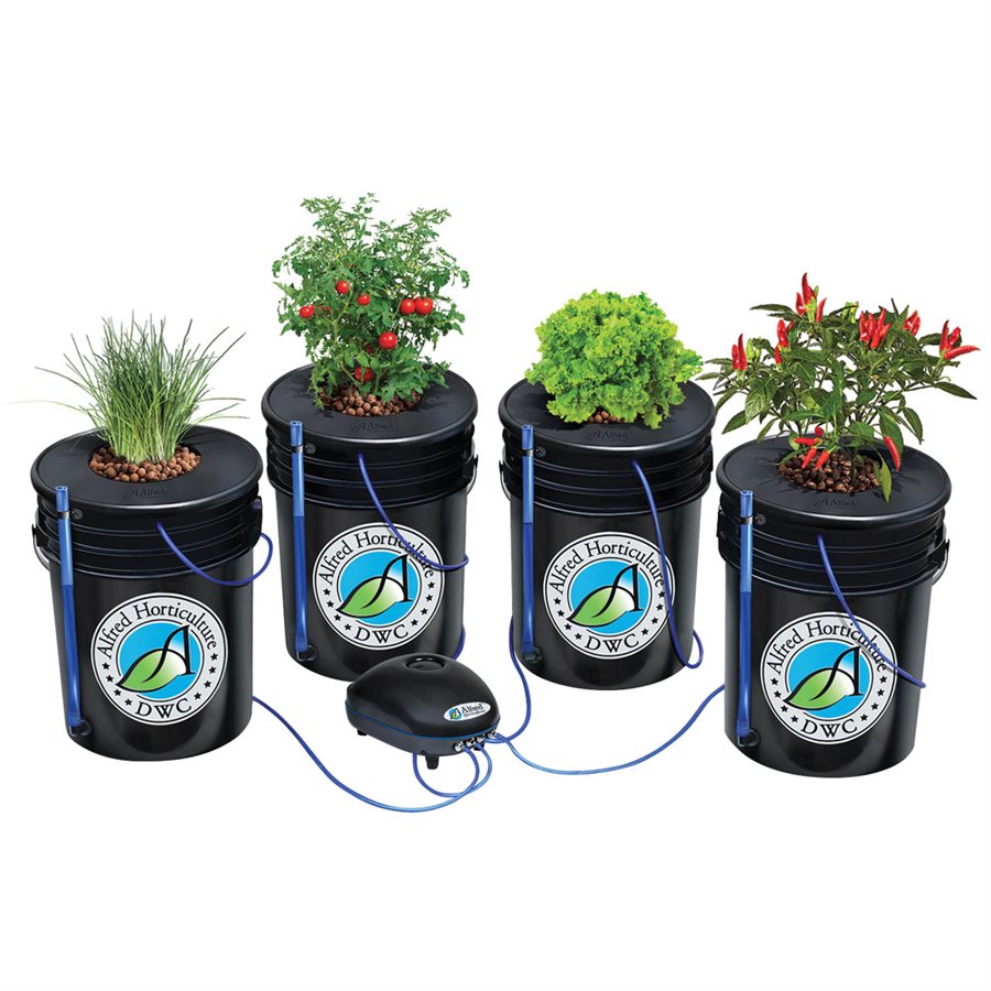 Alfred DWC 4 Plant System