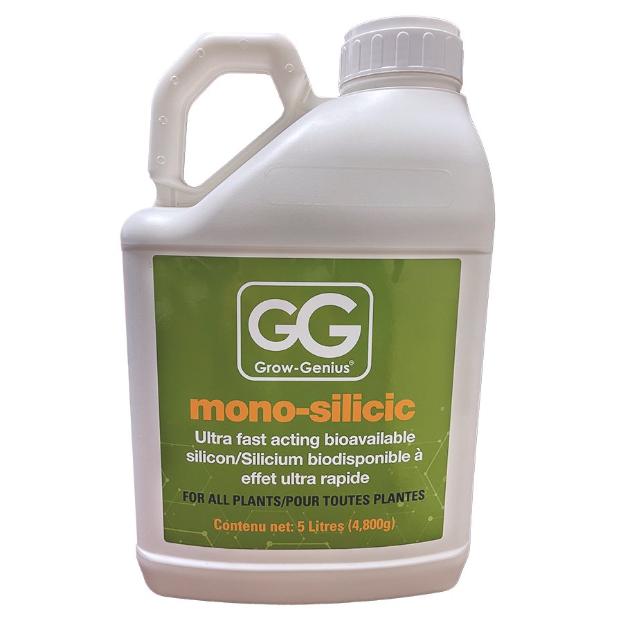 GROW GENIUS MONO SILICIC