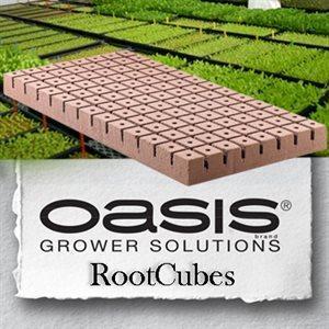 Product Image:Oasis Rootcubes 1.25 in Medium Cubes (5010) 104/Sheet