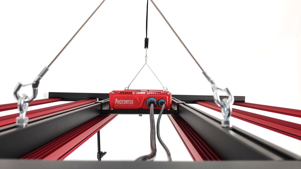 x600Pro_Images_05_resize_1200x