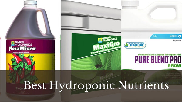 Best Hydroponic Nutrients in 2024