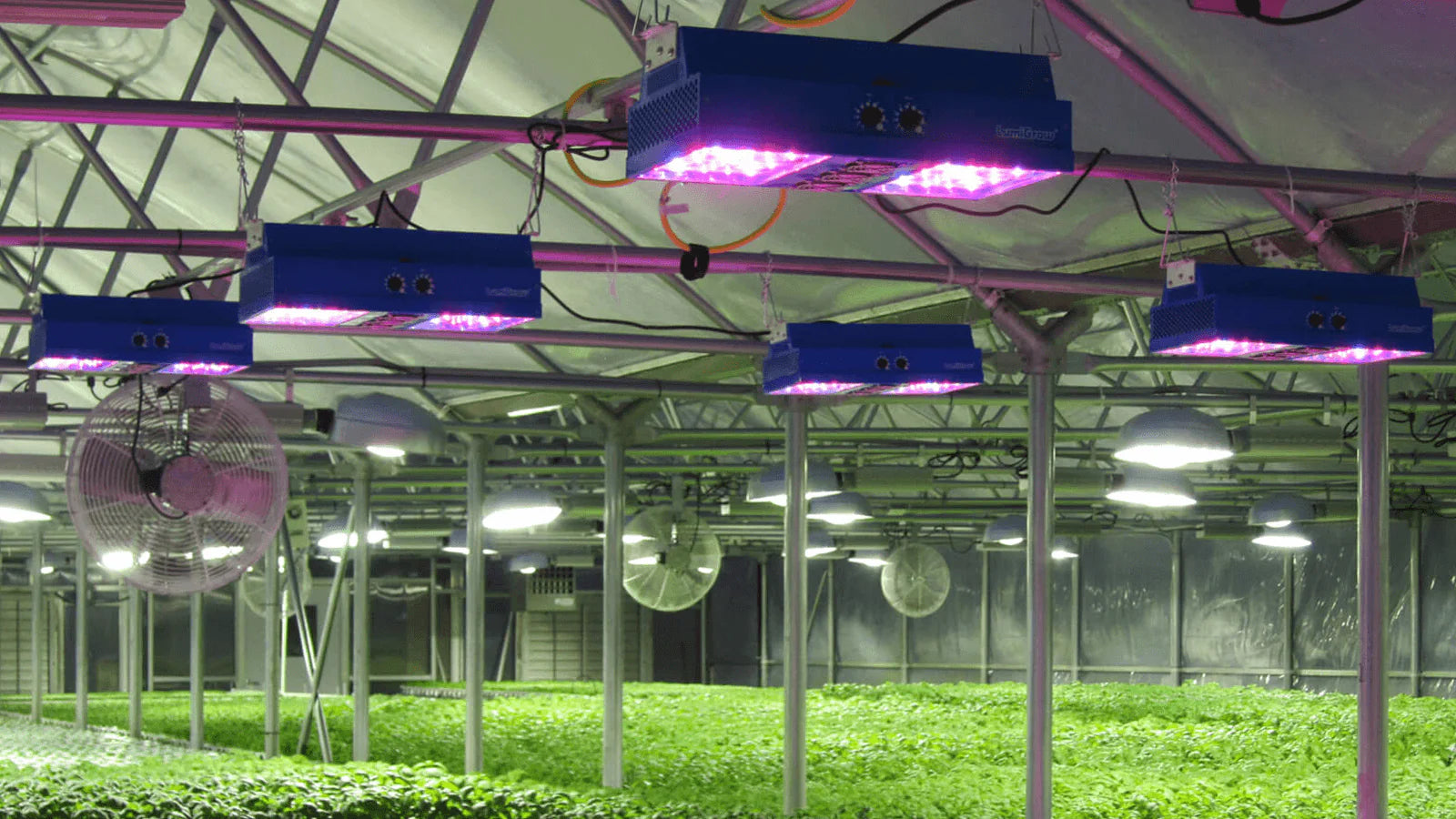 Can You Leave Grow Lights On 24 Hours A Day?