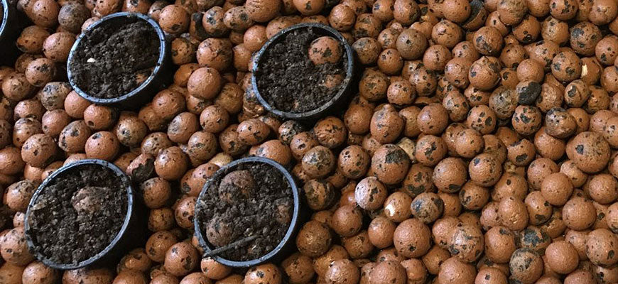 Grow Media: Clay Pebbles vs. Grow Stones