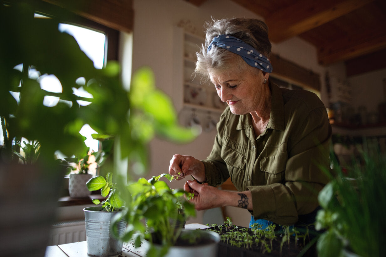 What Type Of Light Is Best For Growing Plants Indoors what-type-of-light-is-best-for-growing-plants-indoors