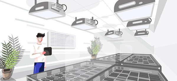 How To Automate Your Grow Room