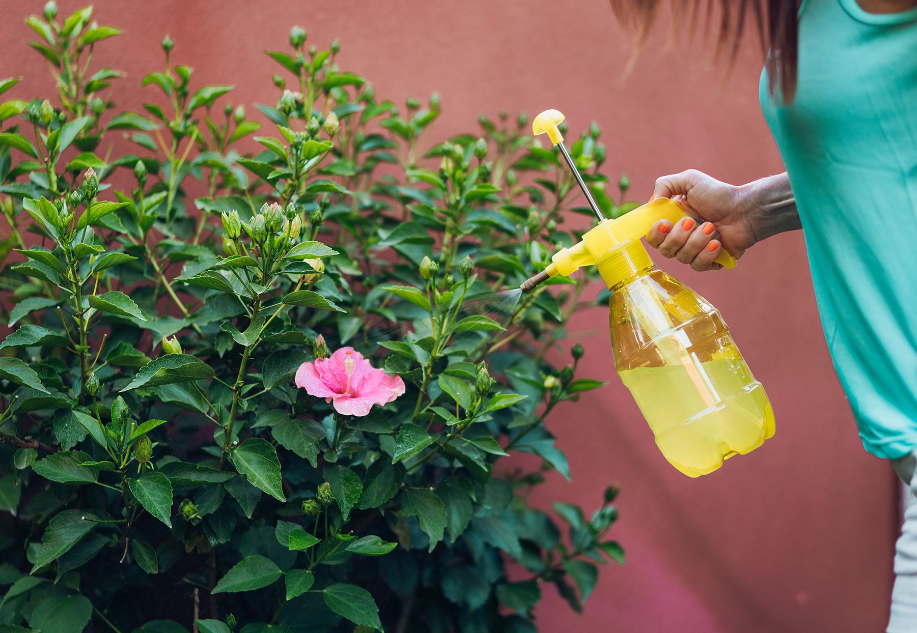 How To Use Neem Oil