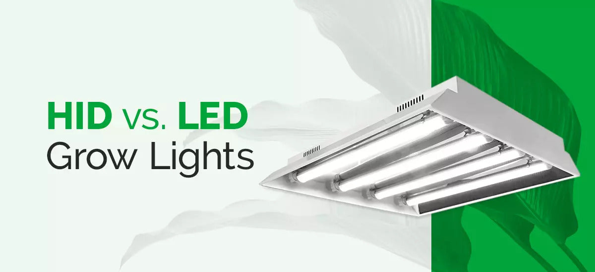 LED vs. HPS: Which One Is The Best For You?