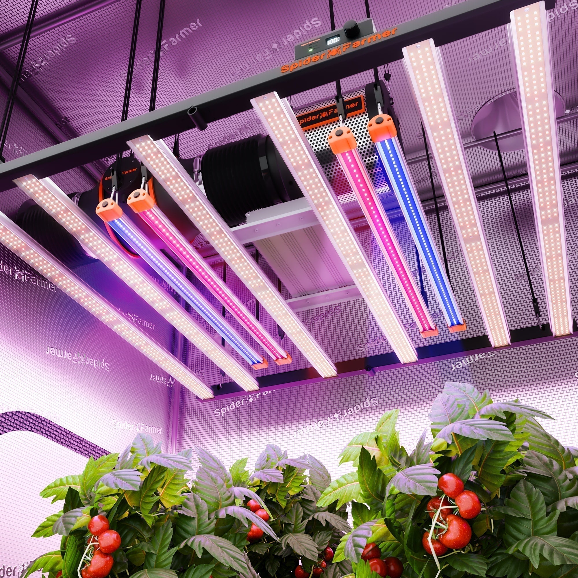 How to Choose the Best LED Grow Light for Indoor Growing