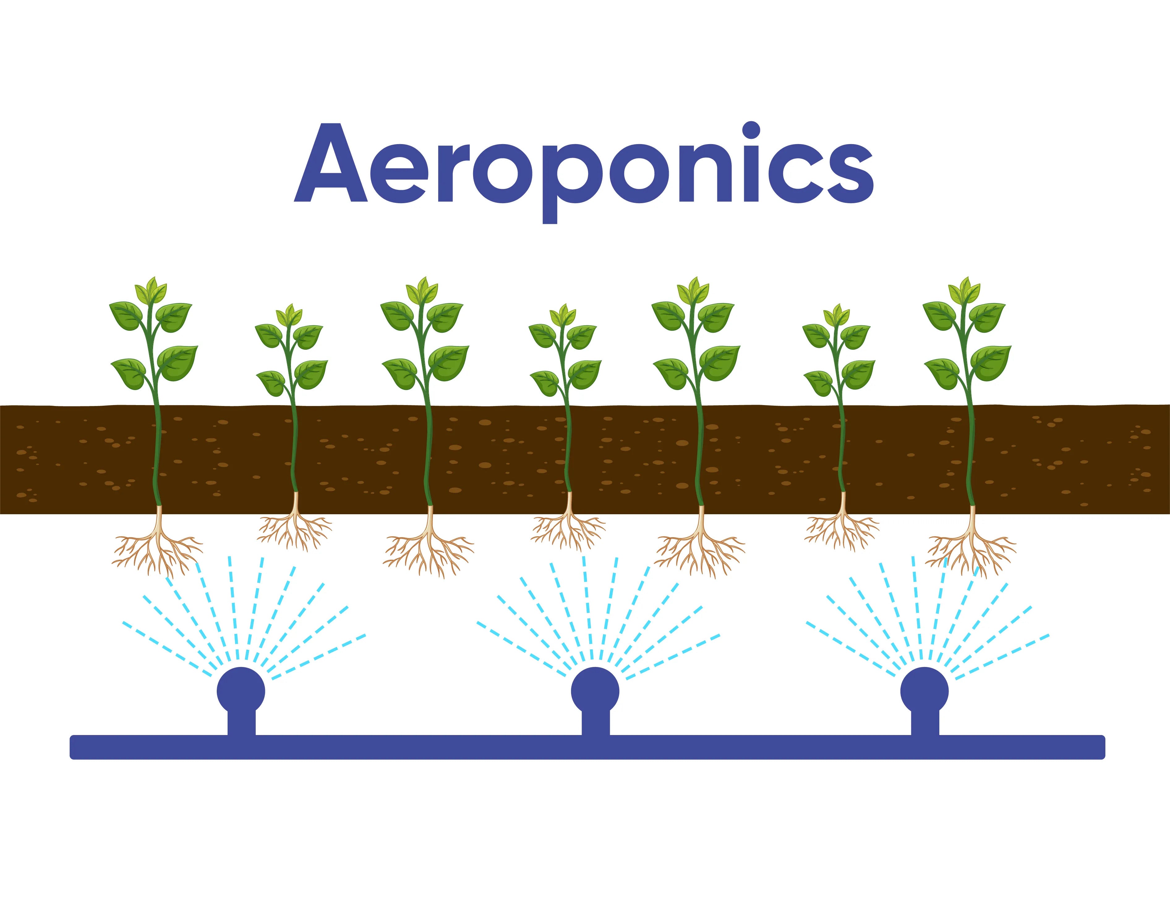 The Benefits of Aeroponics