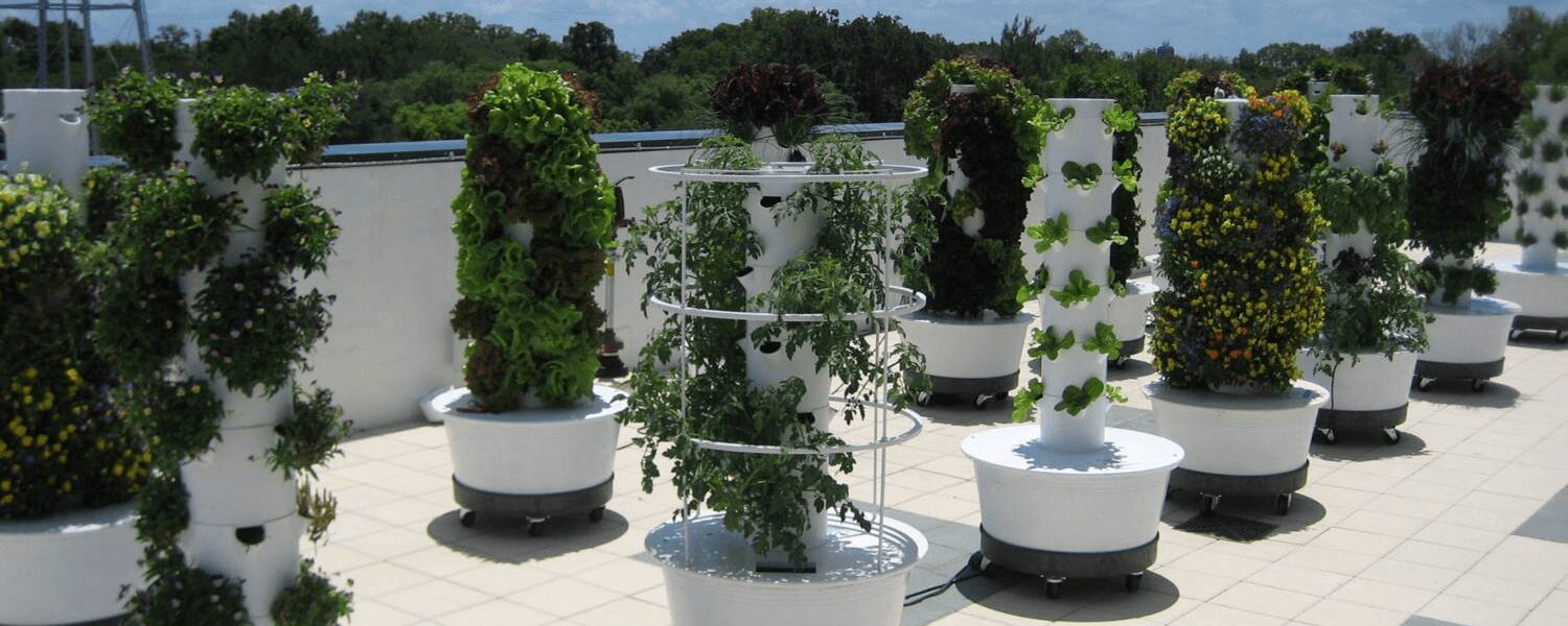 Tower Gardens Explained and Why They Are The Best For Gardening