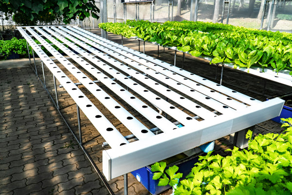 What are Hydroponics Systems?
