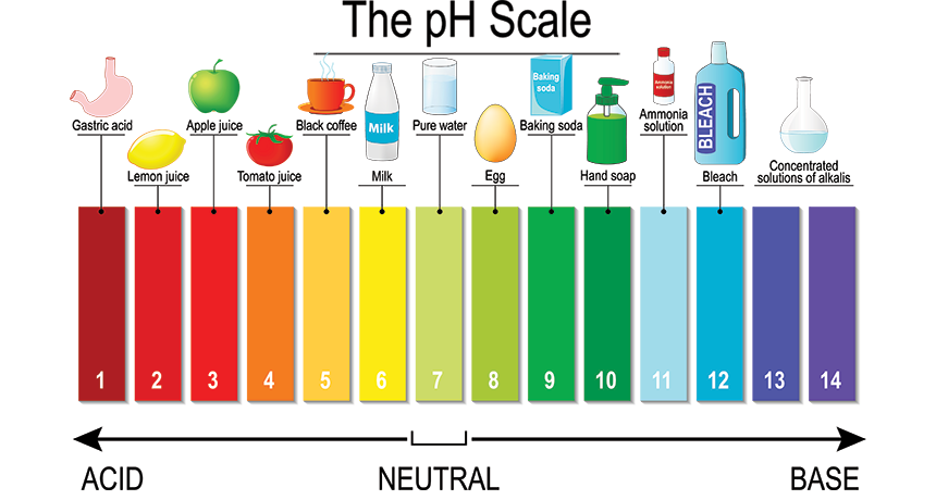 Ph+ / Ph-