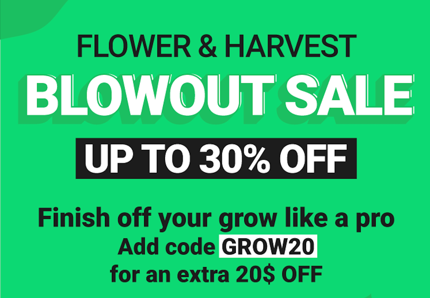 Flower & Harvest Sale