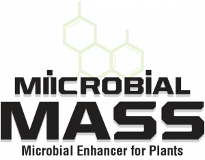 MIICROBIAL MASS