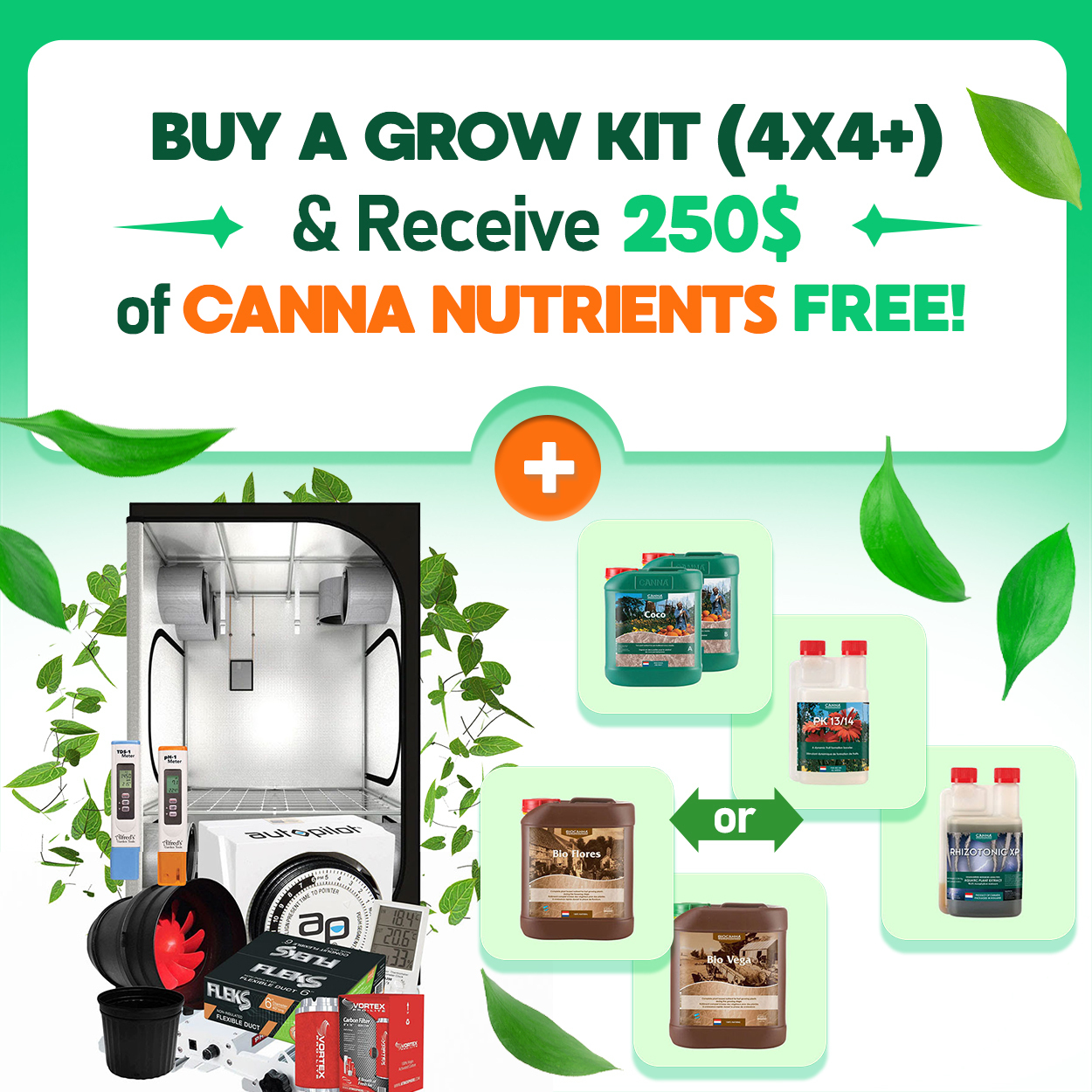 Grow Kits Promotion