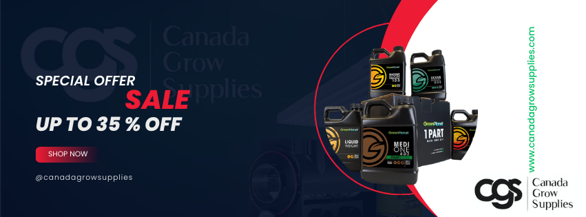 Winter Sales Discounts