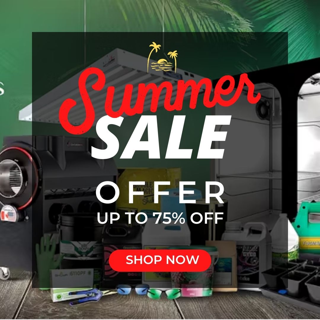 Summer Sales !