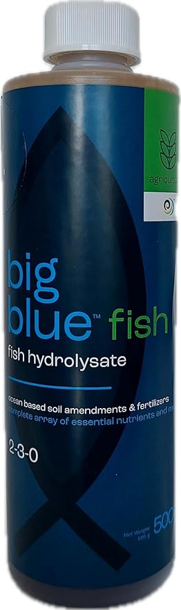 Earth Alive Big Blue Fish