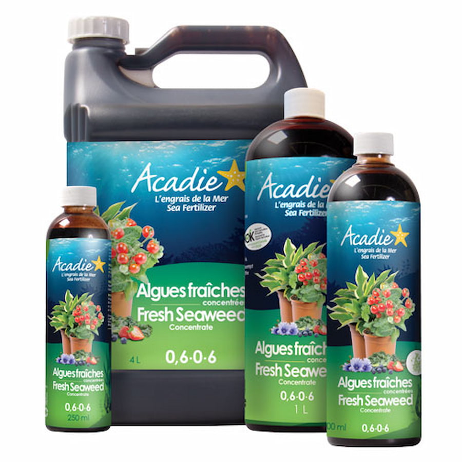 ACADIE Concentré d'algues fraîches 0.6-0-6