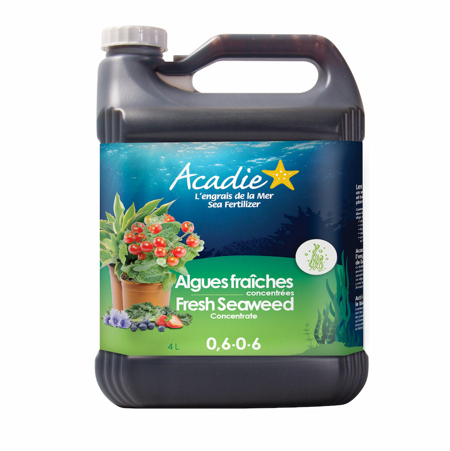 Product Secondary Image:ACADIE Fresh Seaweed Concentrate 0.6-0-6