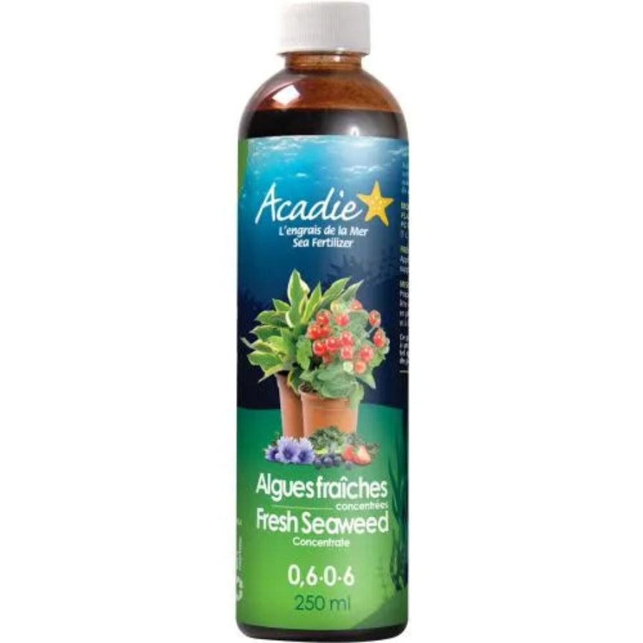 Product Image:Acadie Fresh Seaweed Concentrate 0.6-0-6