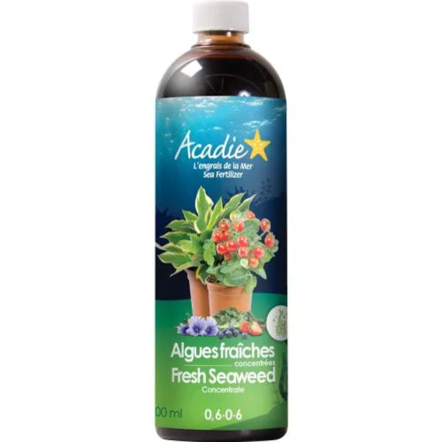 Product Secondary Image:Acadie Fresh Seaweed Concentrate 0.6-0-6